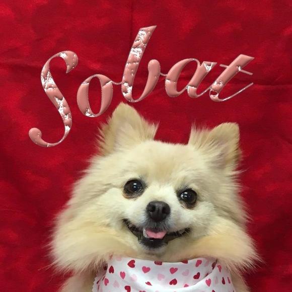 sobatbonanza